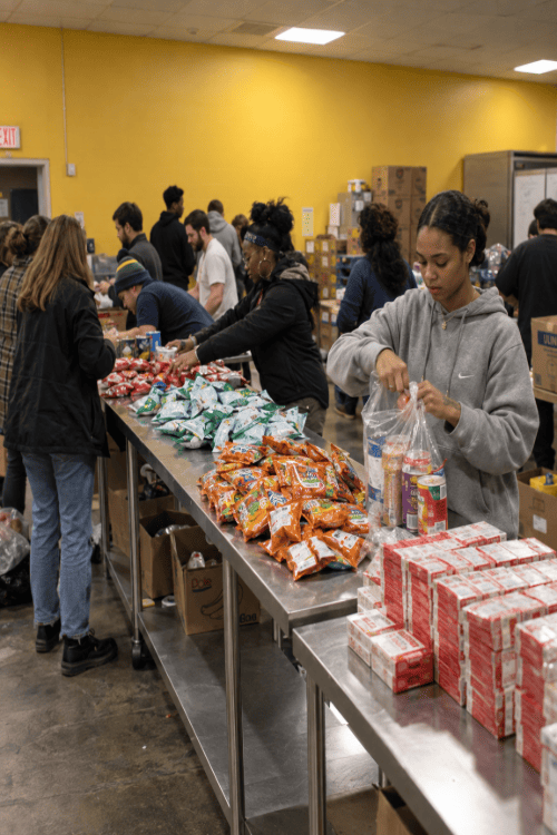 Volunteer-Led Campaigns